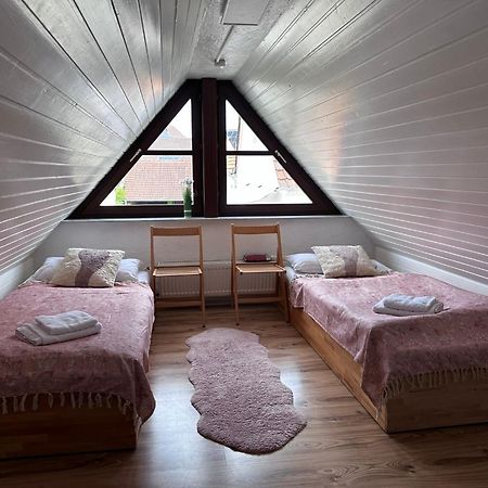 Schoenes Gemuetliches Haus Toplage 弗赖因斯海姆 外观 照片
