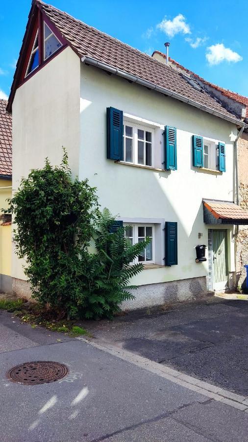 Schoenes Gemuetliches Haus Toplage 弗赖因斯海姆 外观 照片