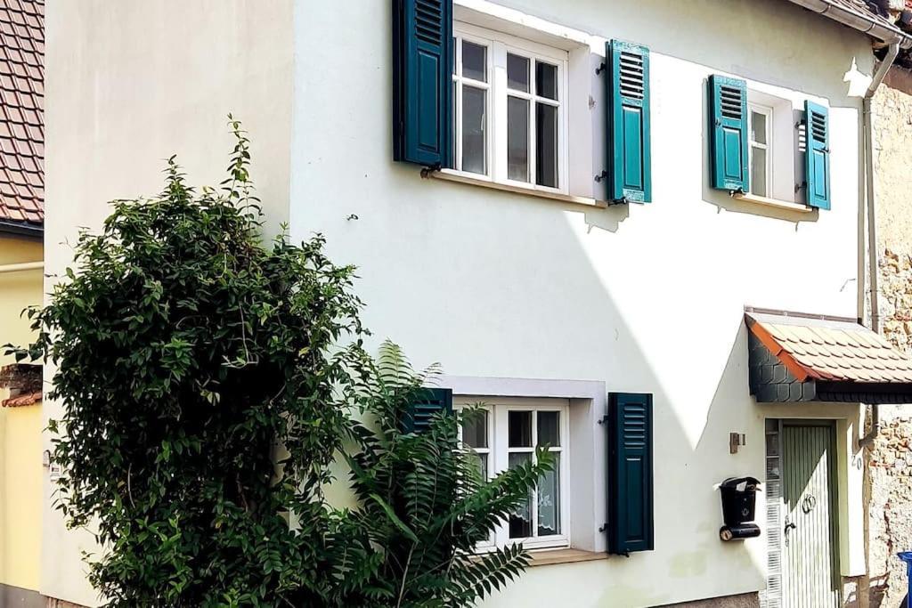 Schoenes Gemuetliches Haus Toplage 弗赖因斯海姆 外观 照片